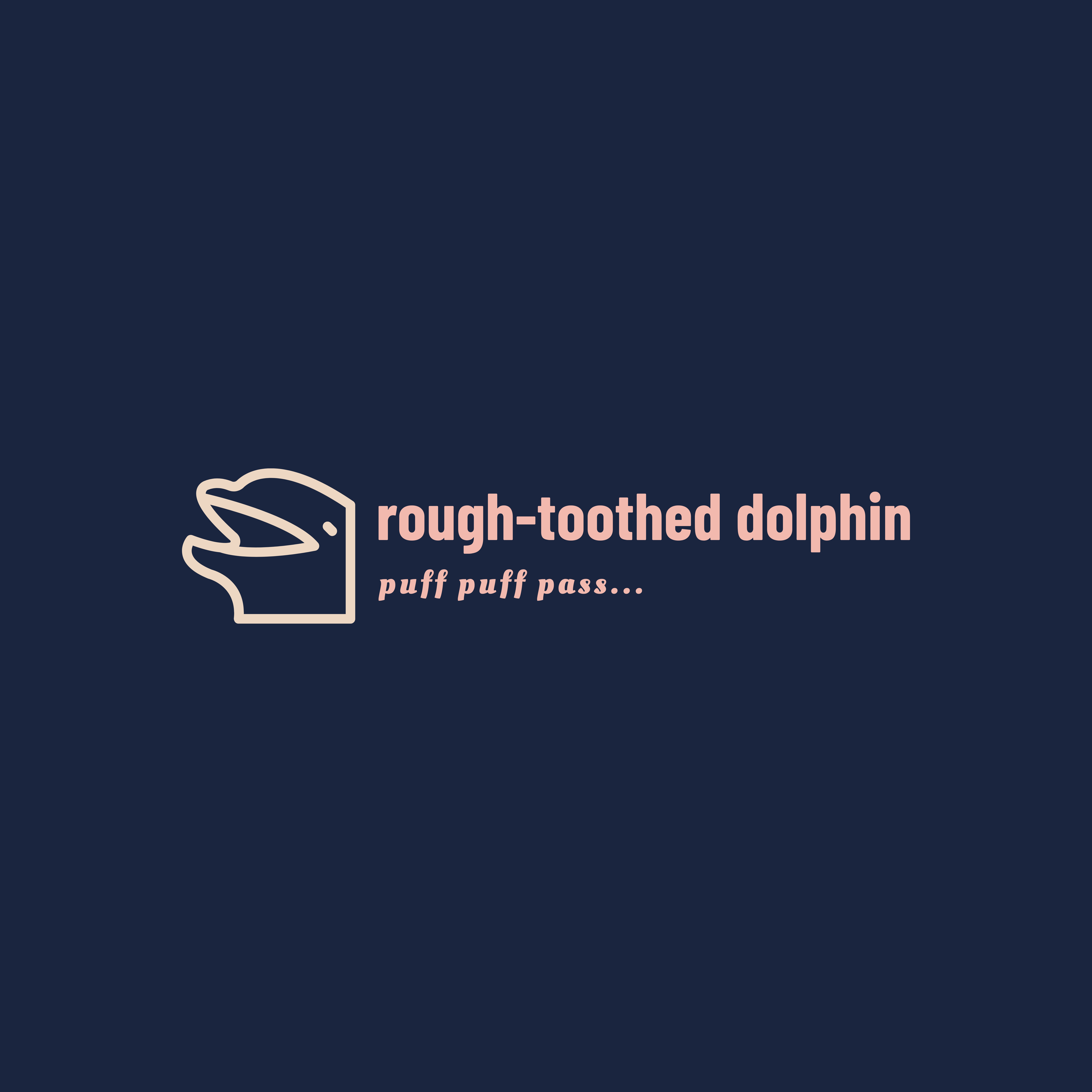 rough-toothed dolphin