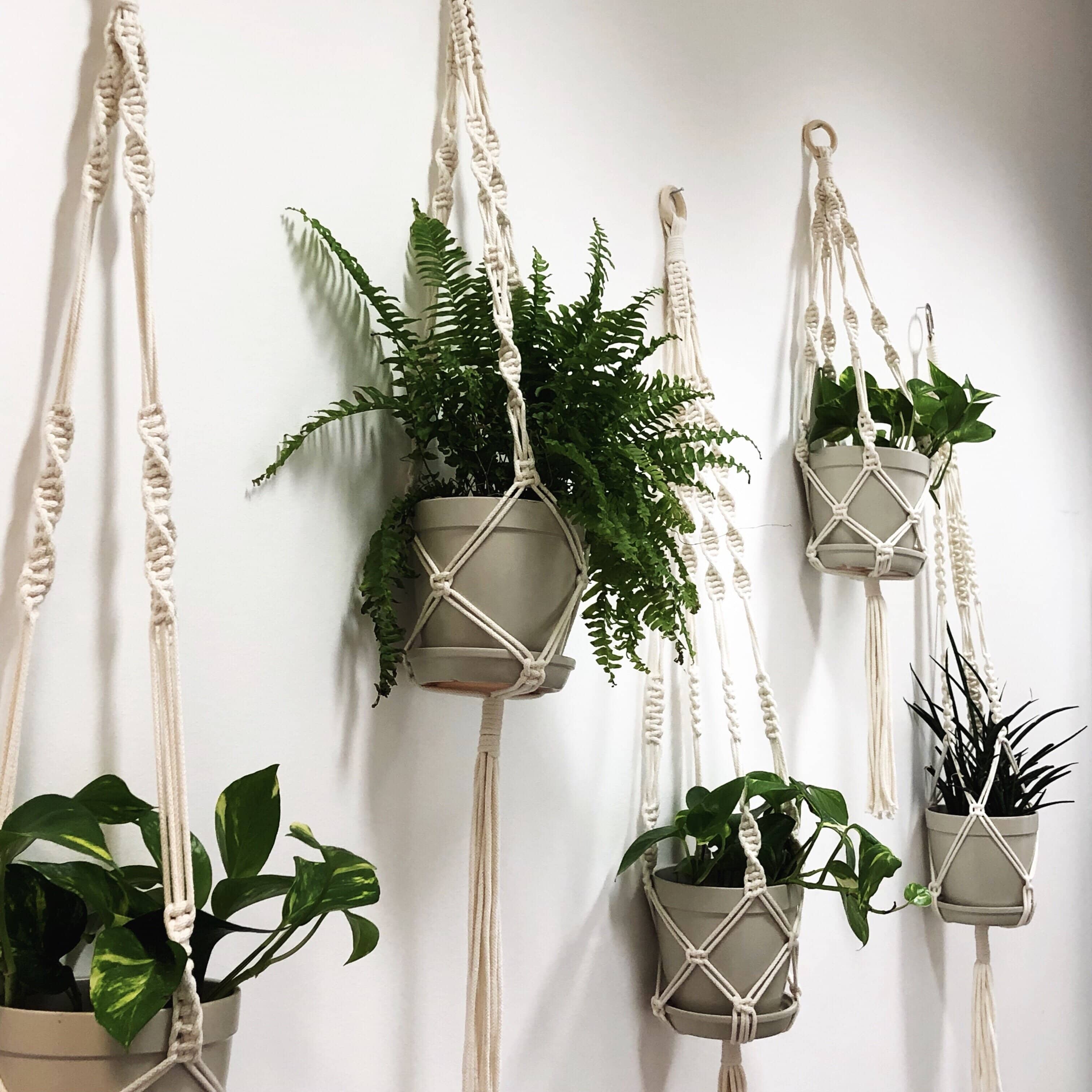 macrame plant holders