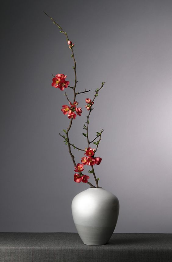 Ikebana photo
