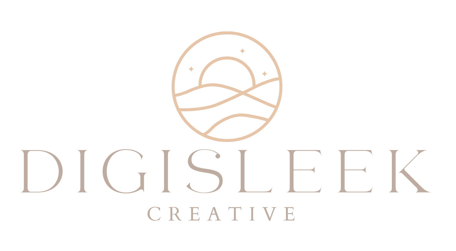 Logo for Digisleek Creative