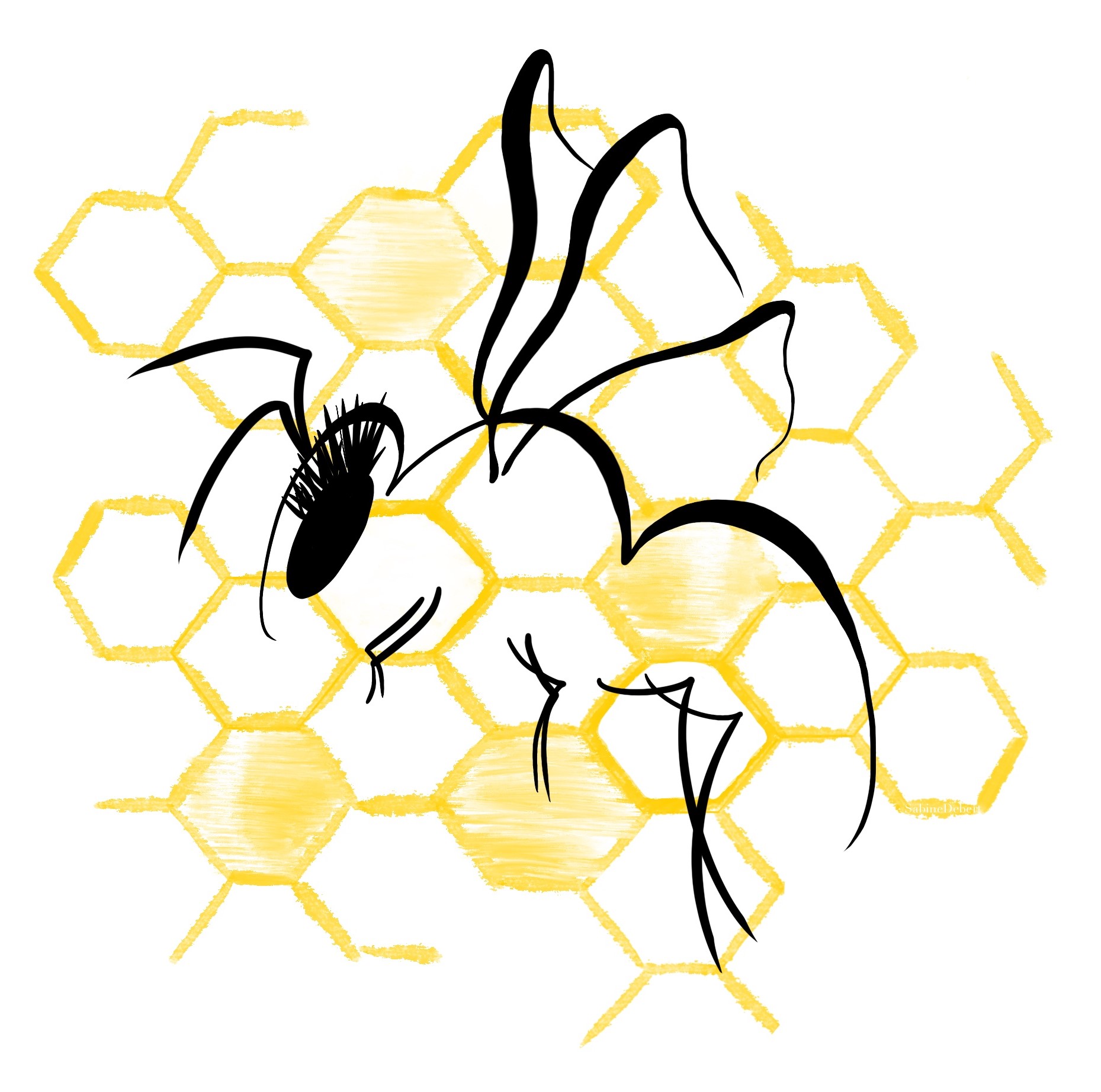 Honey Bee by Sabine Debert