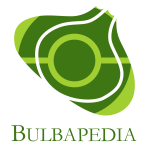 bulbapedia logo