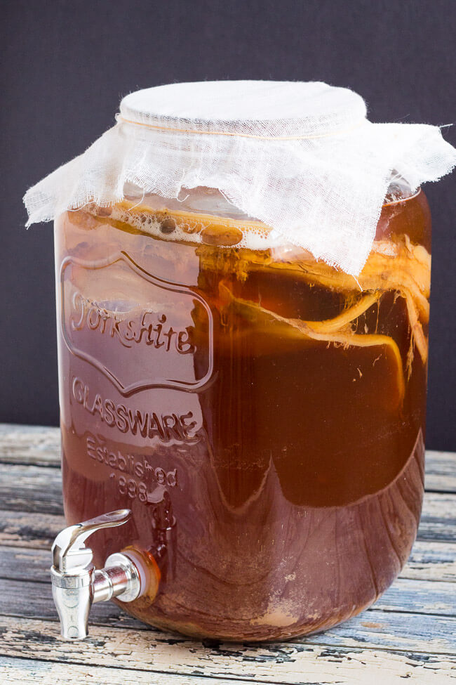 kombucha
