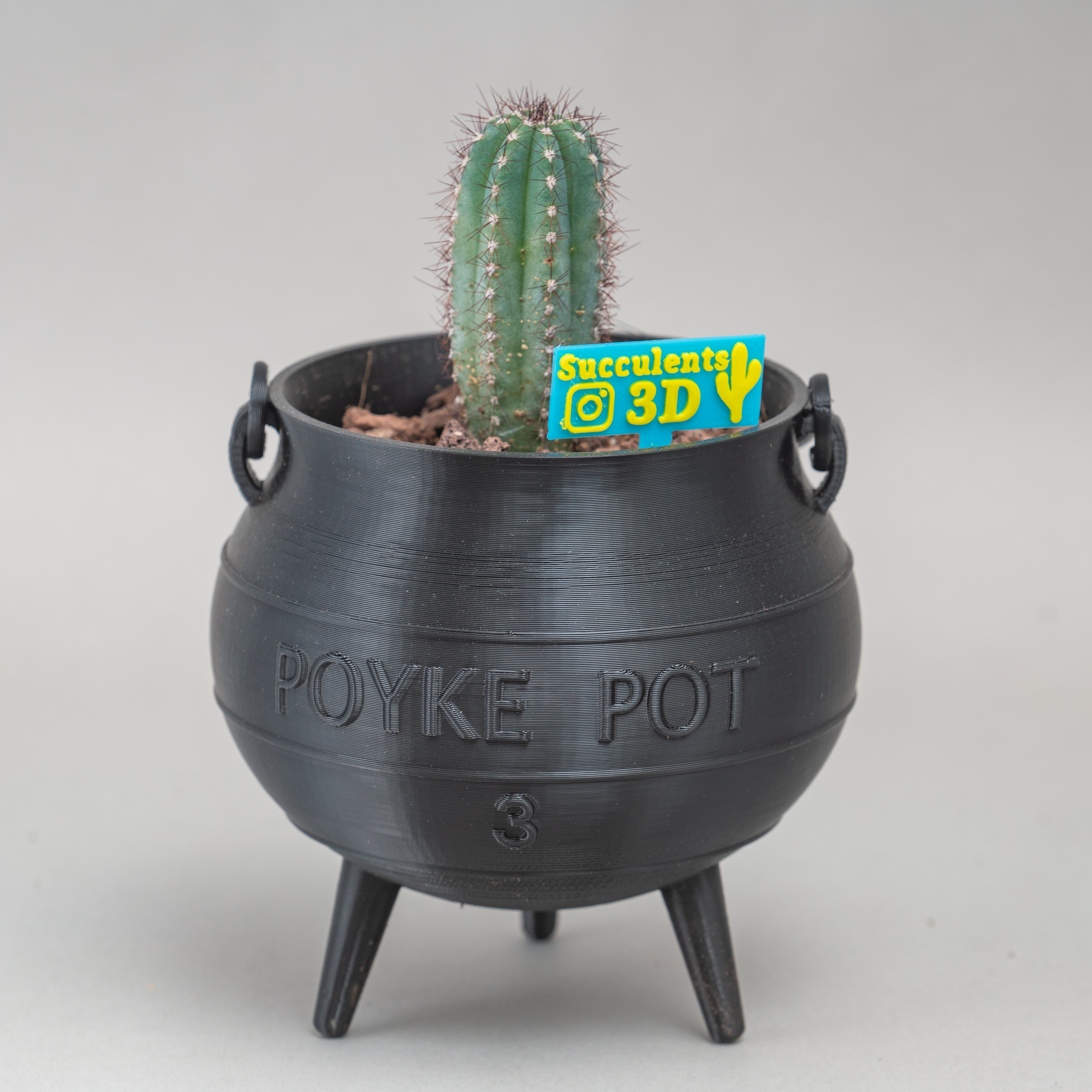 pot