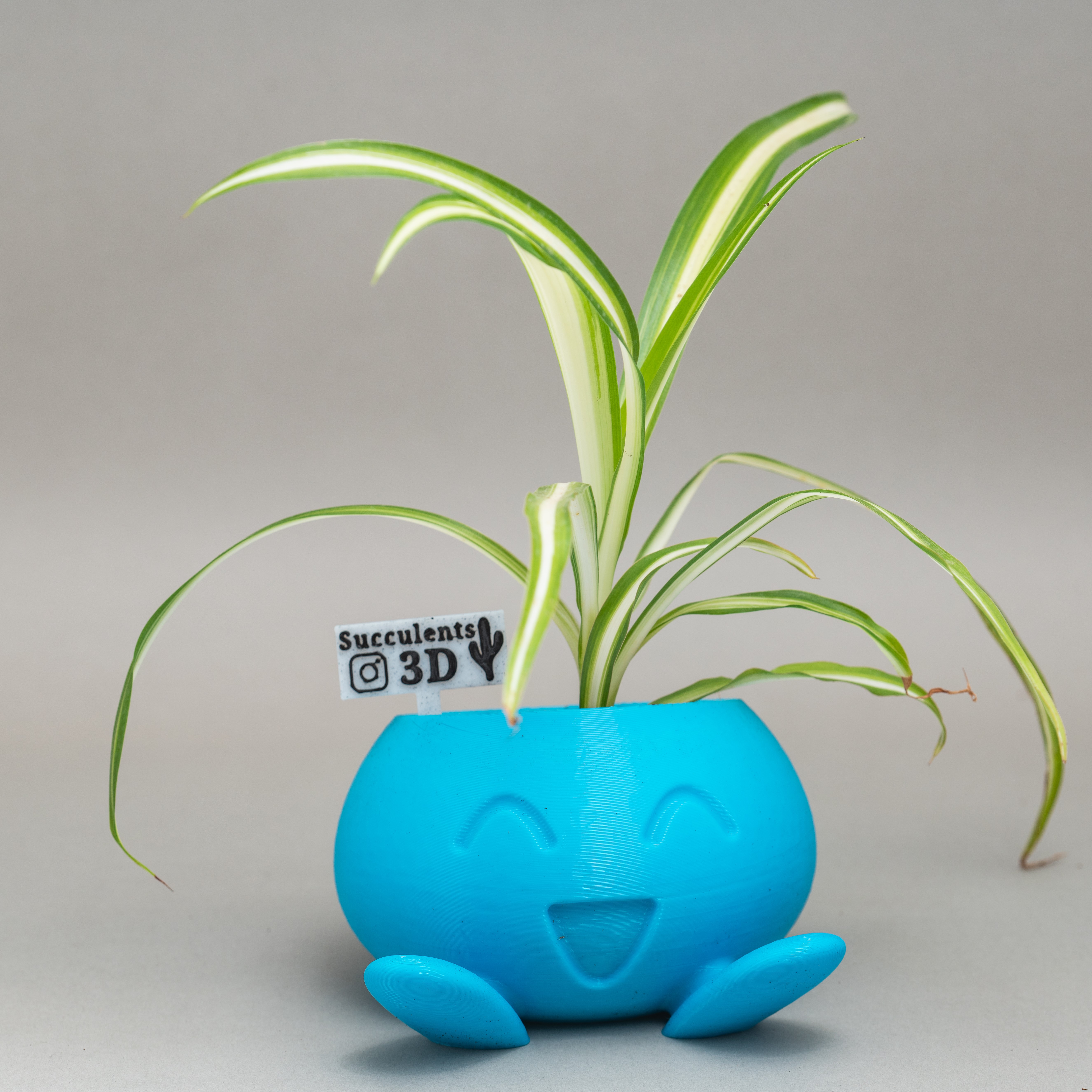 oddish