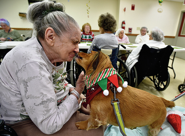 Therapy dog licks eldery womans face