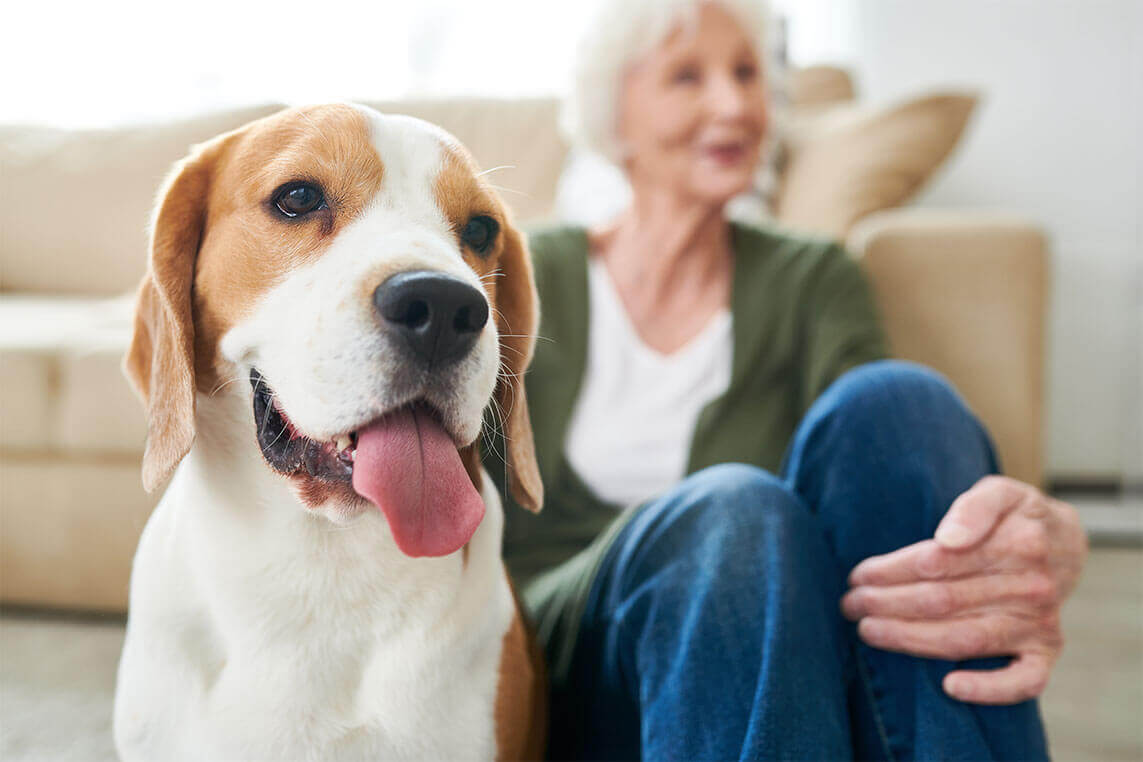 Elderly woman sitting with beagle.