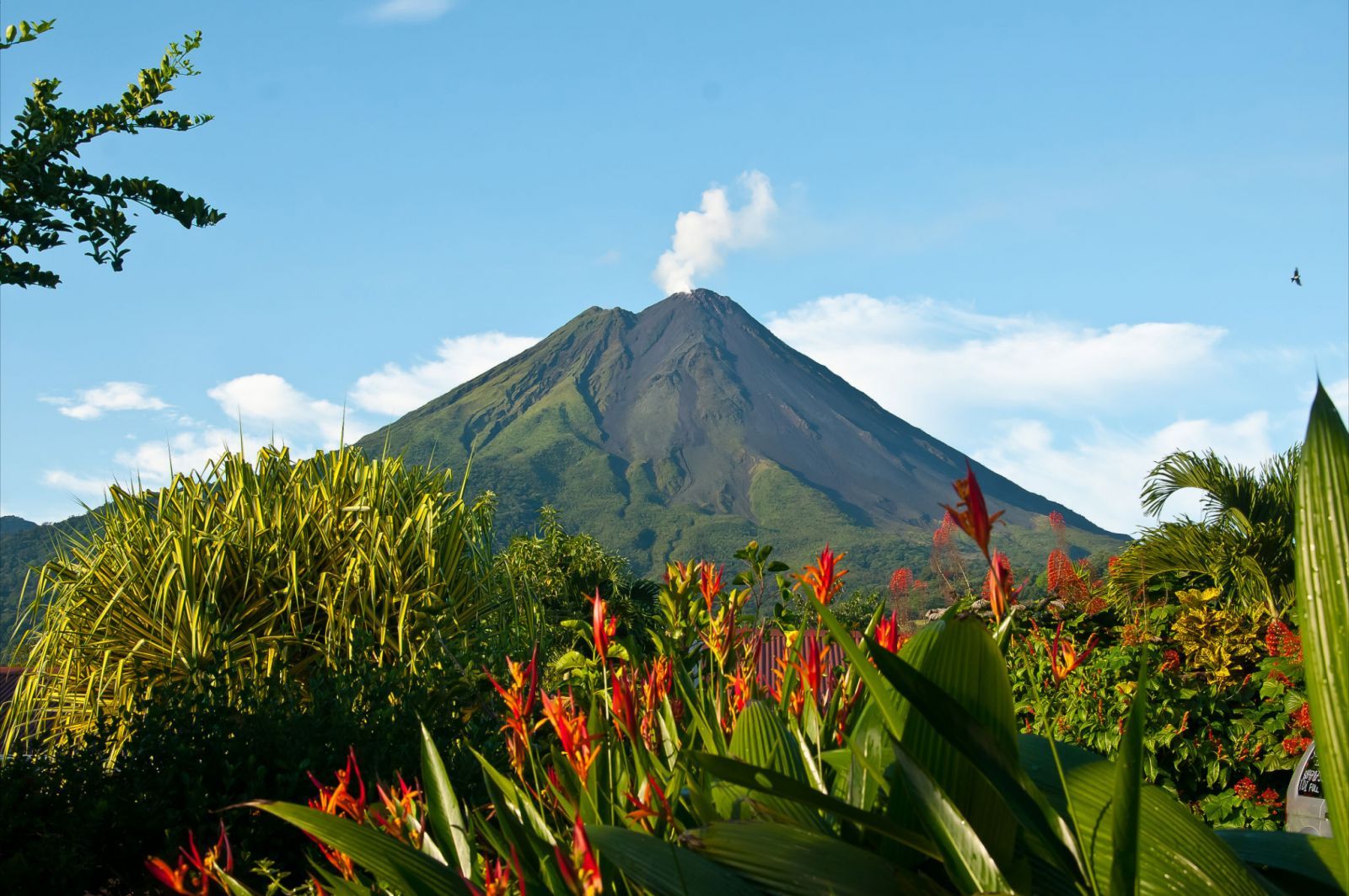 Arenal Volcano, La Fortuna
