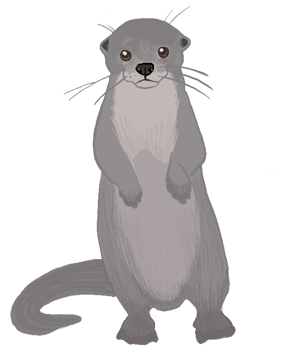 otter illustration