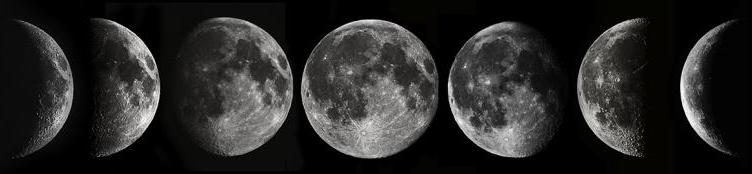 moonPhases