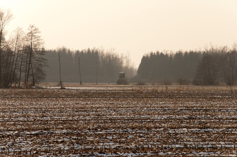 Lanscape_Copr._IzaHabjan_2021