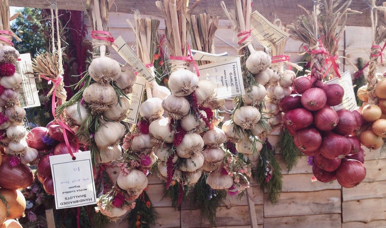 Hand braided onions and garlic