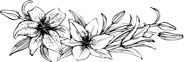 small bundle of pink lily flowers