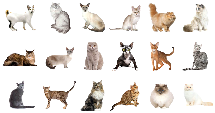 catBreeds