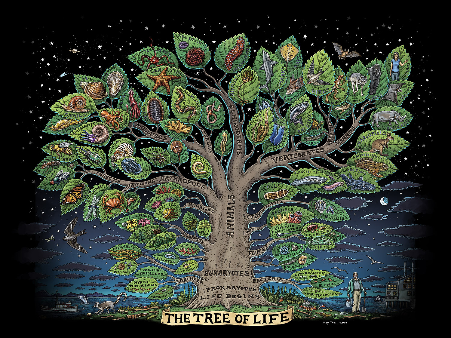 tree of life