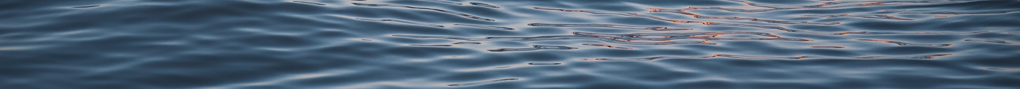 The Ocean - Portugal 2018