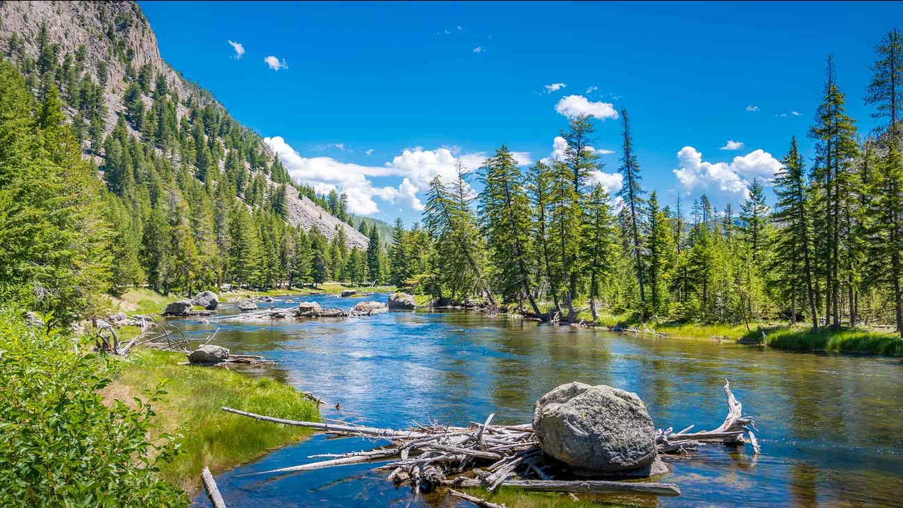 Yellowstone National Park, Wyoming