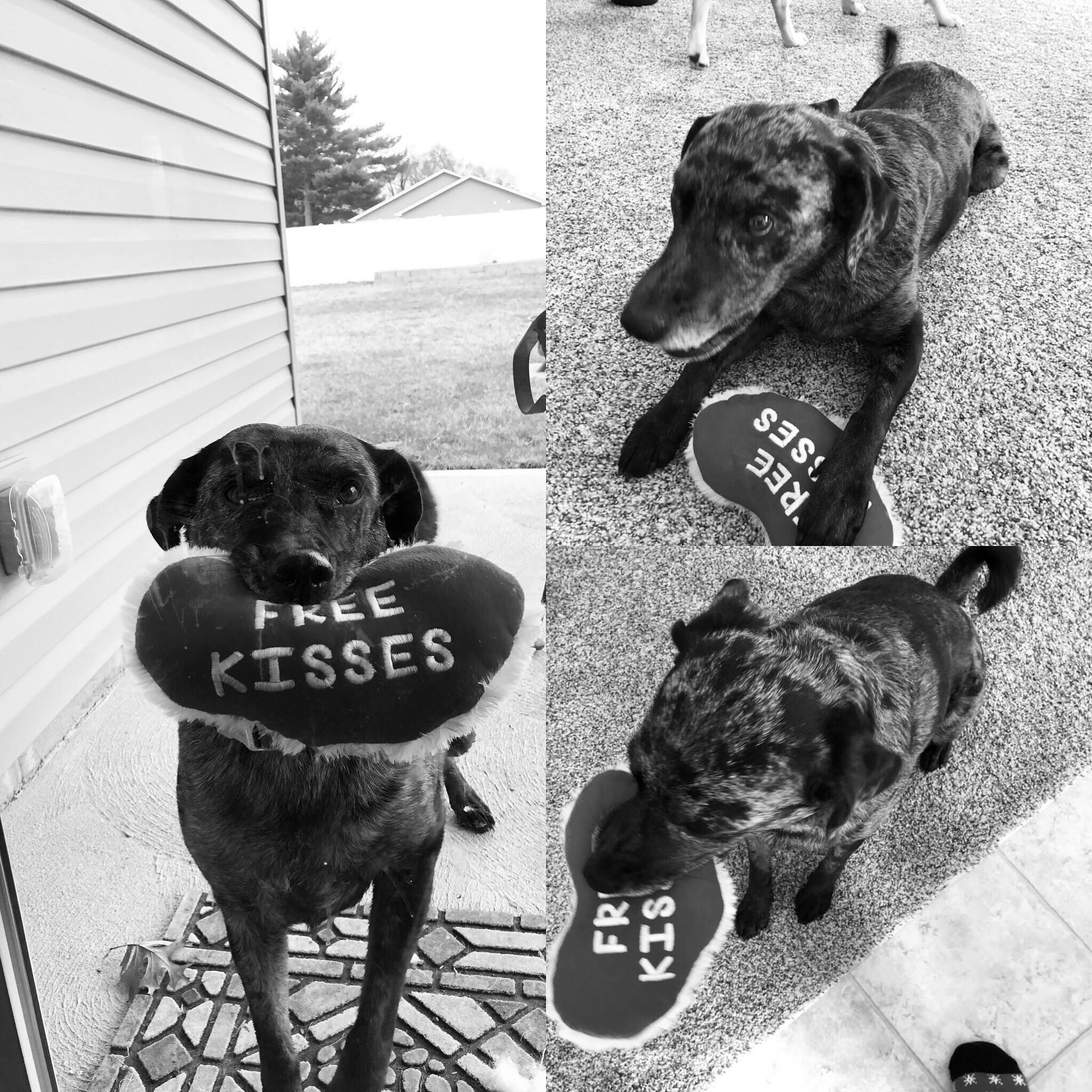 A photo of Abby holding a stuffed heart that says 'Free Kisses'