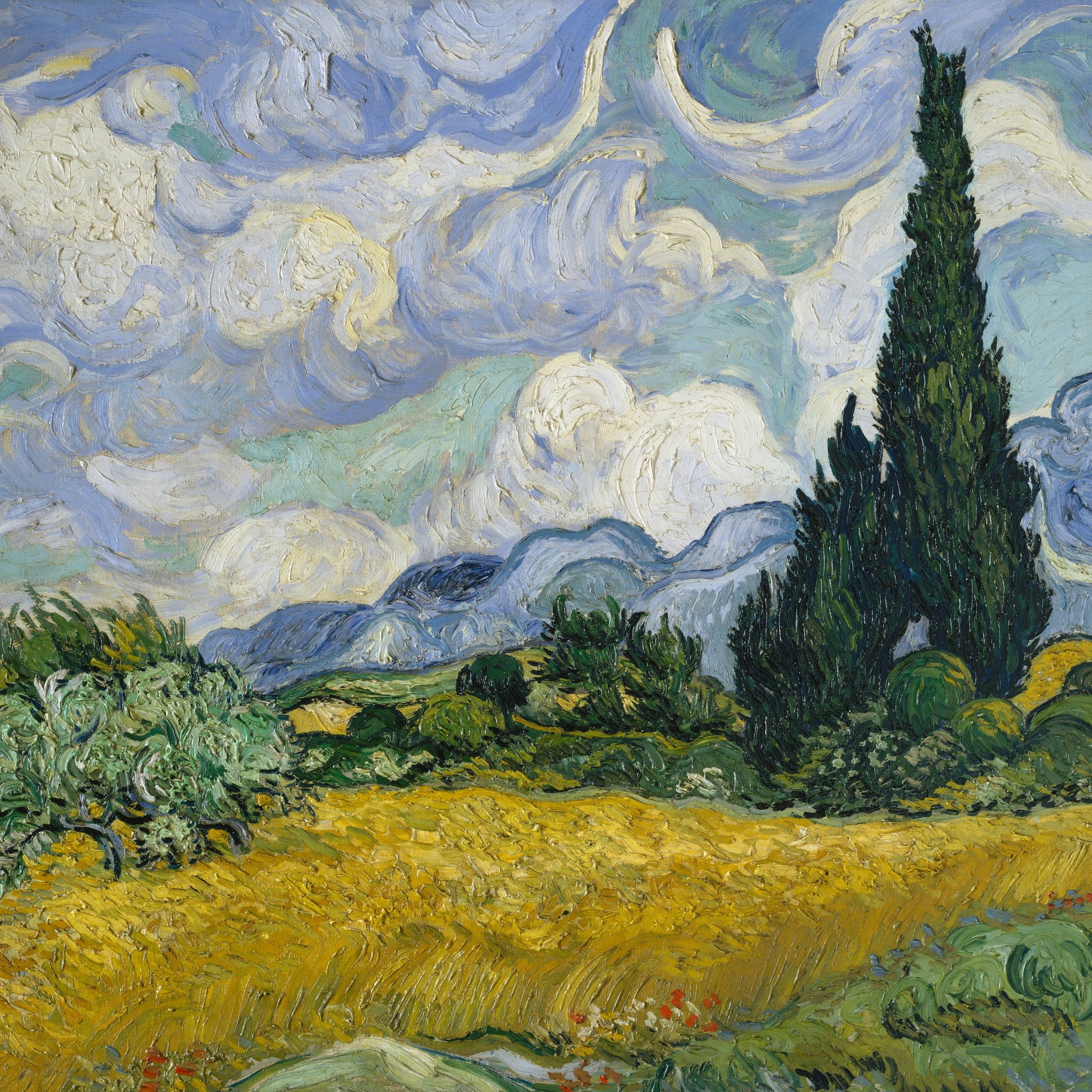 Van Gogh Wheat field with cypress