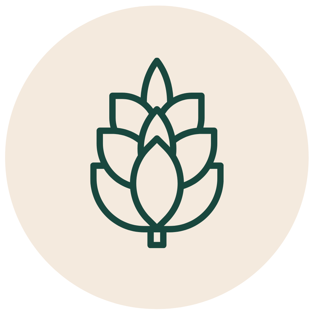 Pinecone Logo