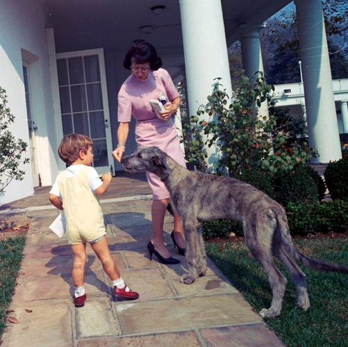 JFK Jr and Wolf