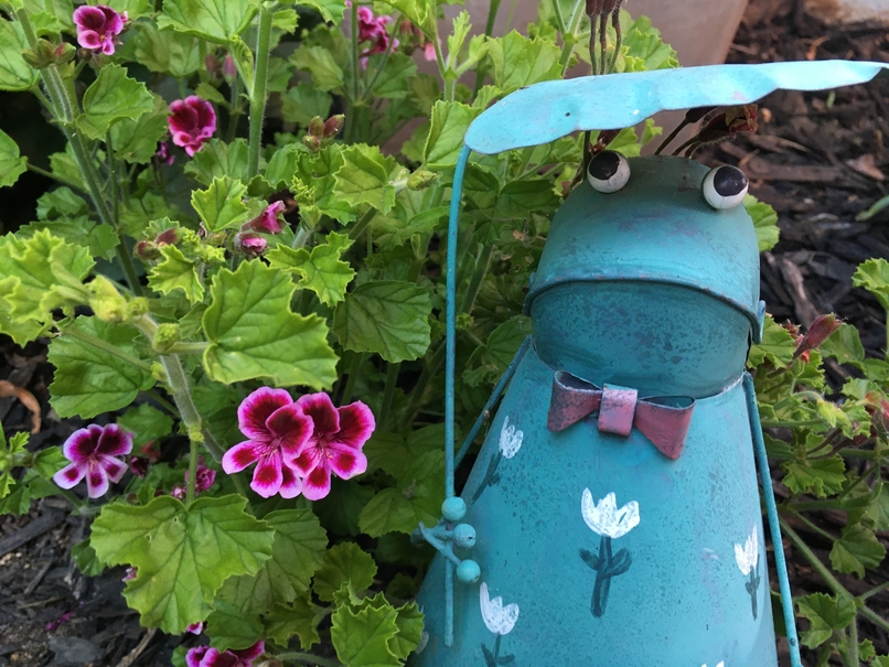 Image of purple flowers with metal frog