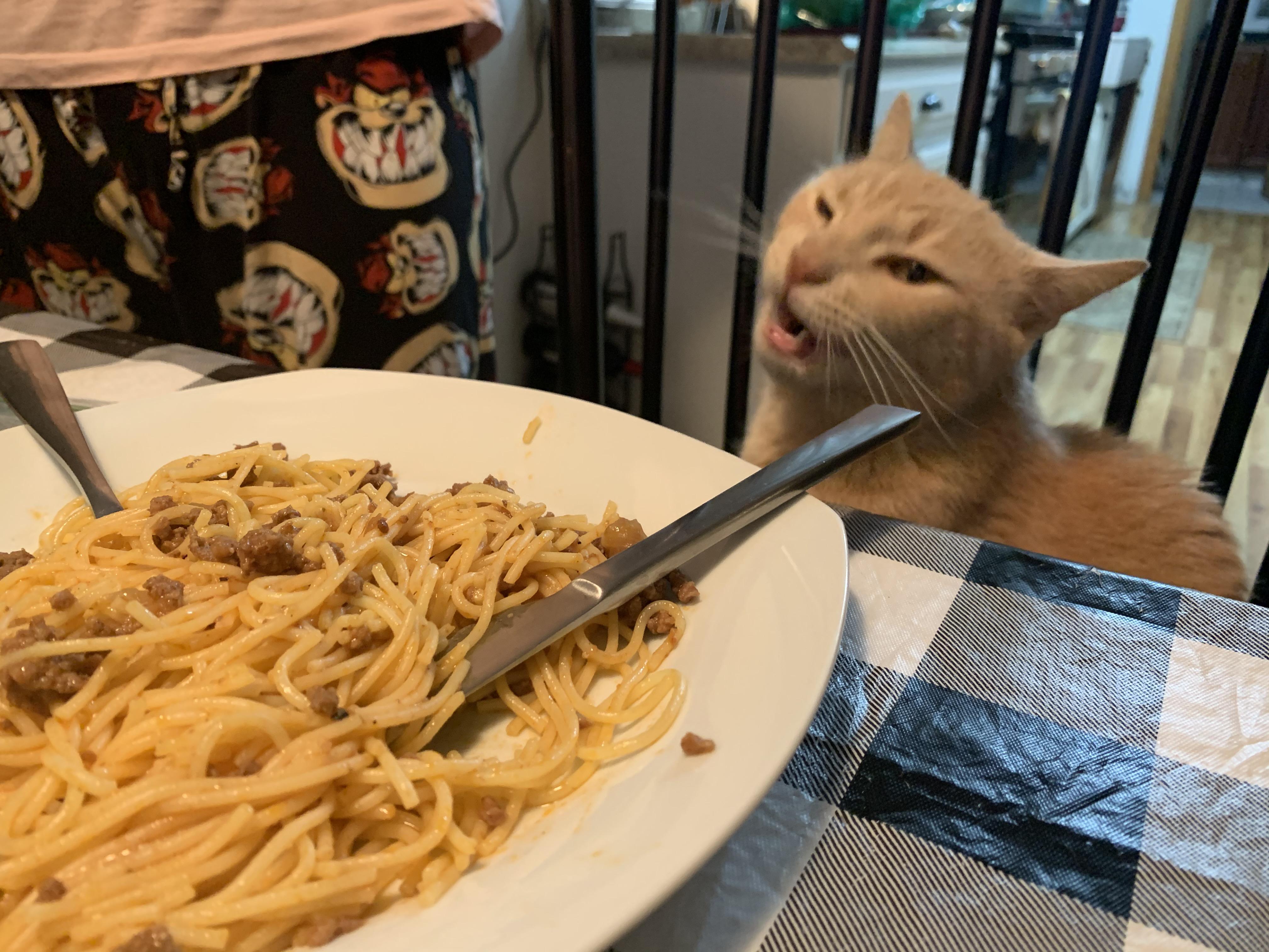 The Food Connoissuer