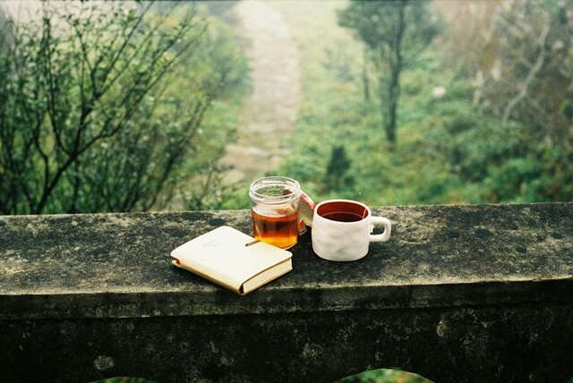 coffee and tea on bridge in forest