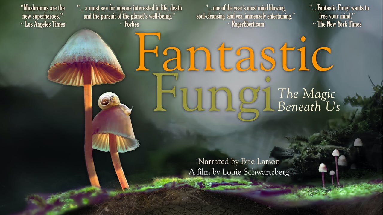 Fantastic Fungus Movie Poster