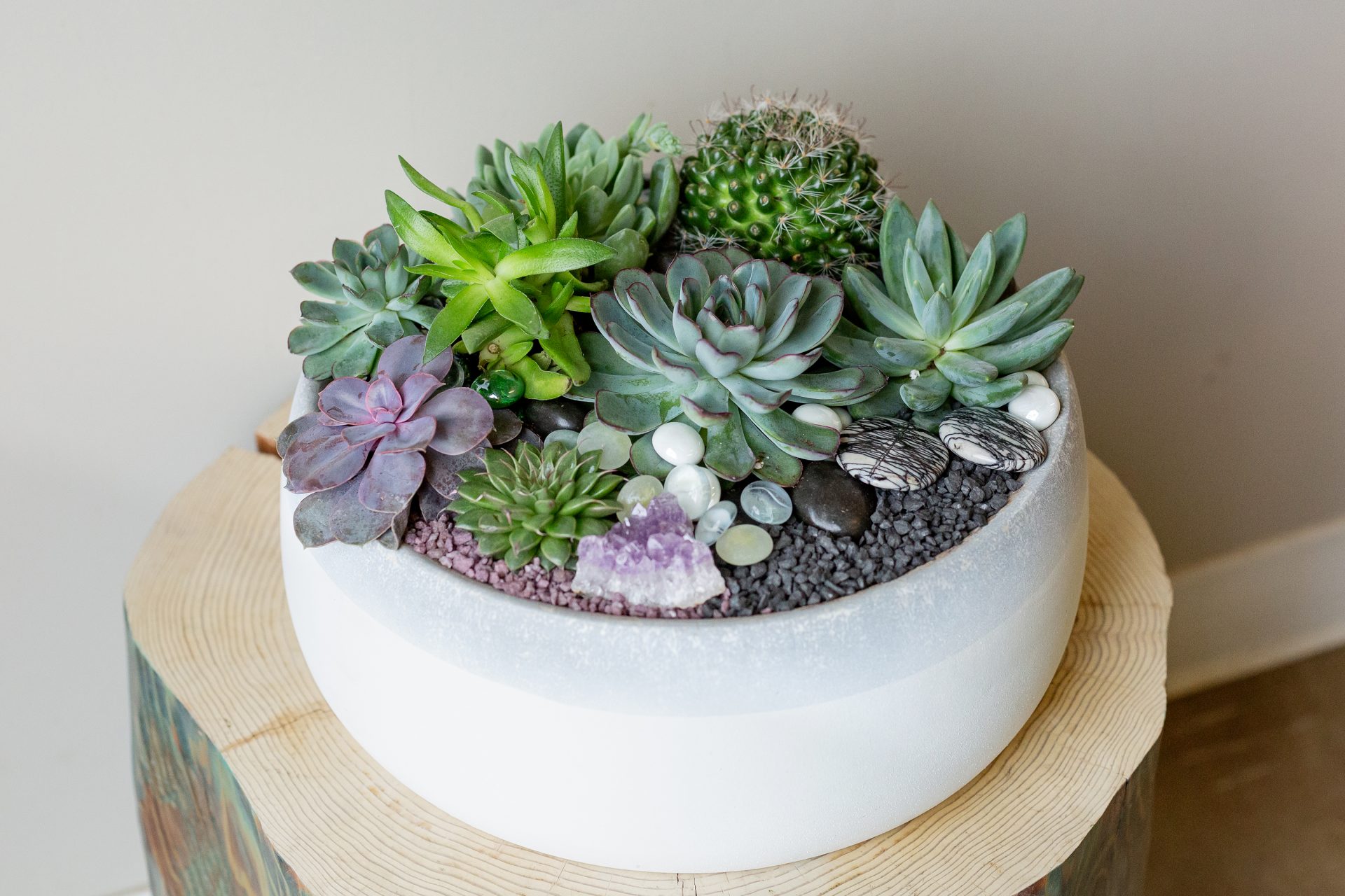 Succulent arrangement in a pot