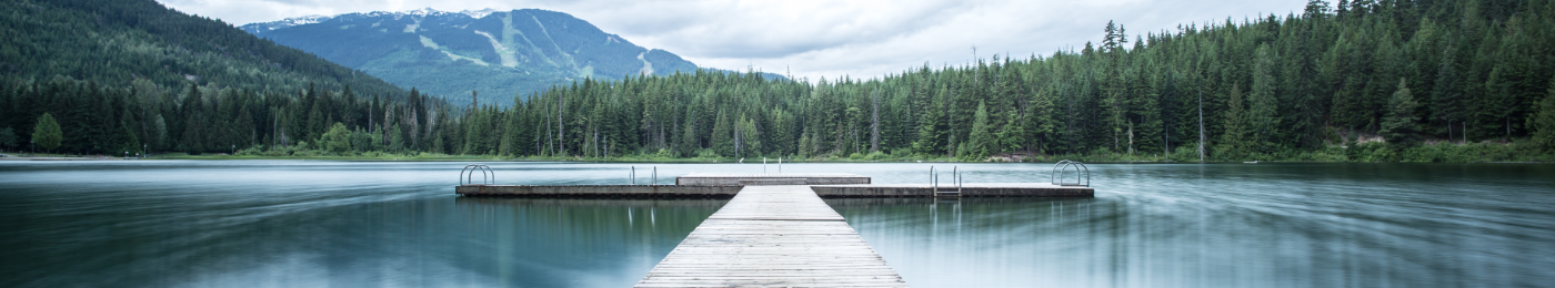 Photo by Tj Holowaychuk on Unsplash