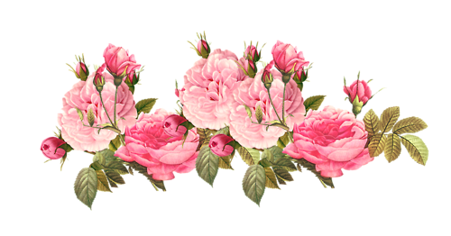 Peonies