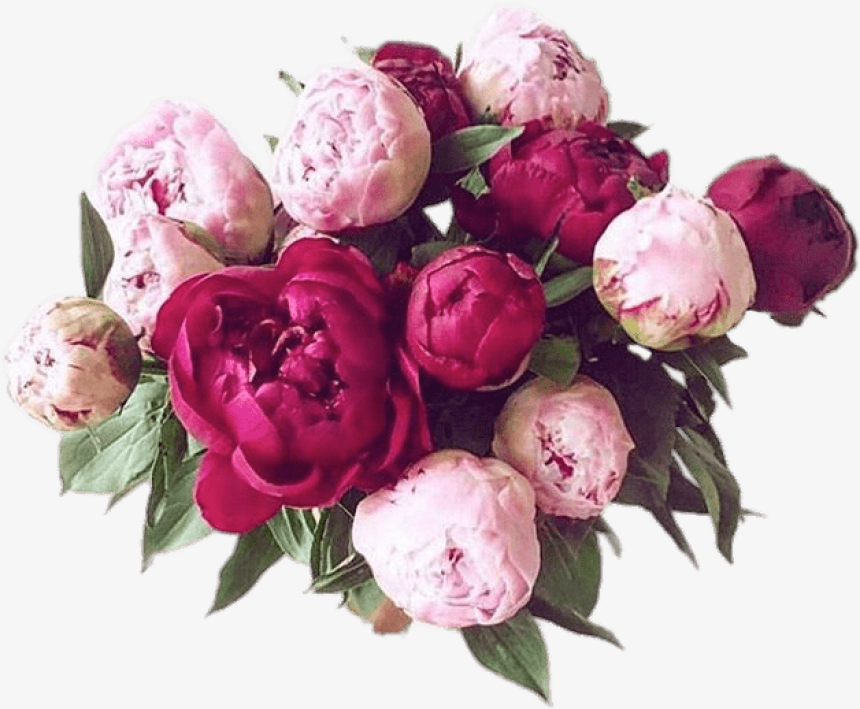 Peonies