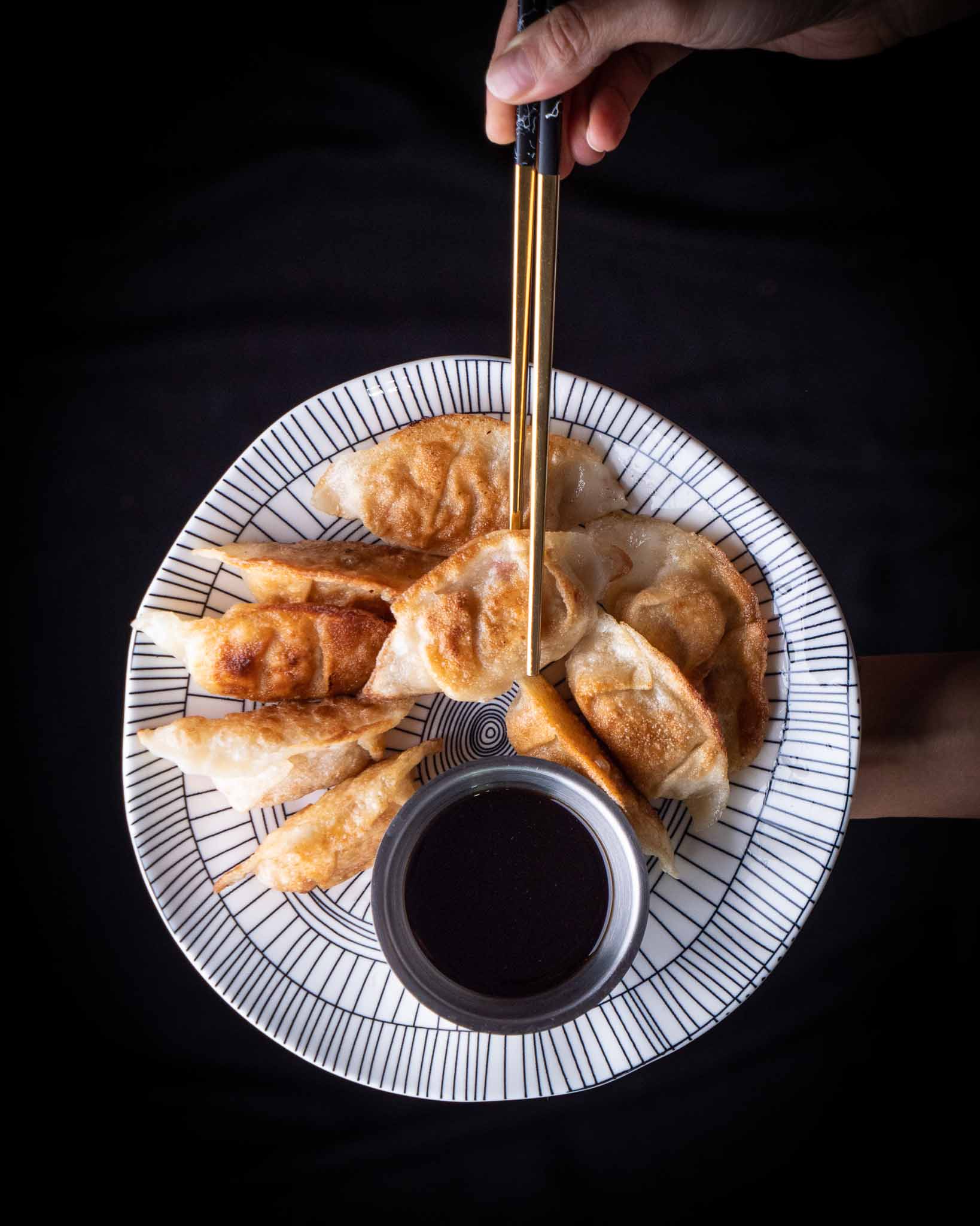 Fried Dumplings