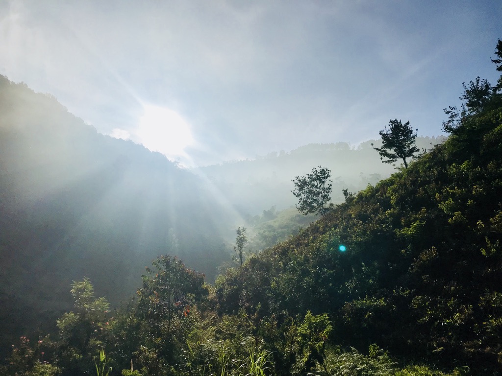 Nature is good for you