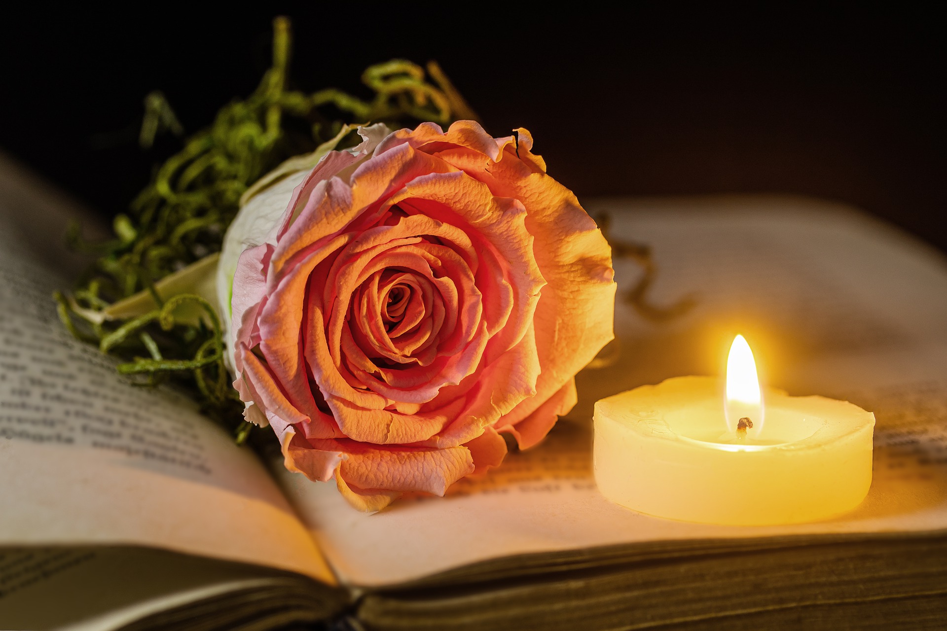 peach rose on an opened book with a lit candle
