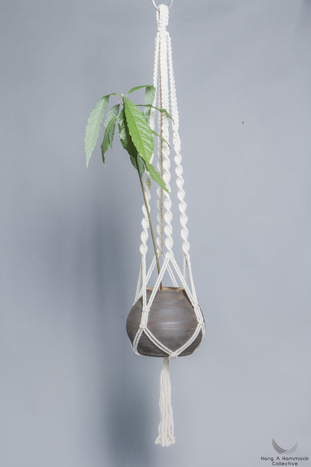 macramé plant hanger
