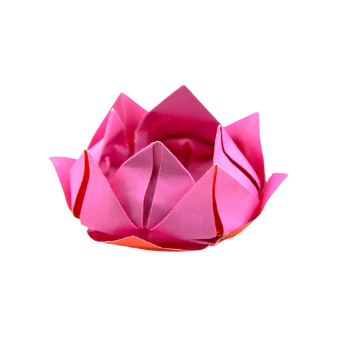 origami lotus flower