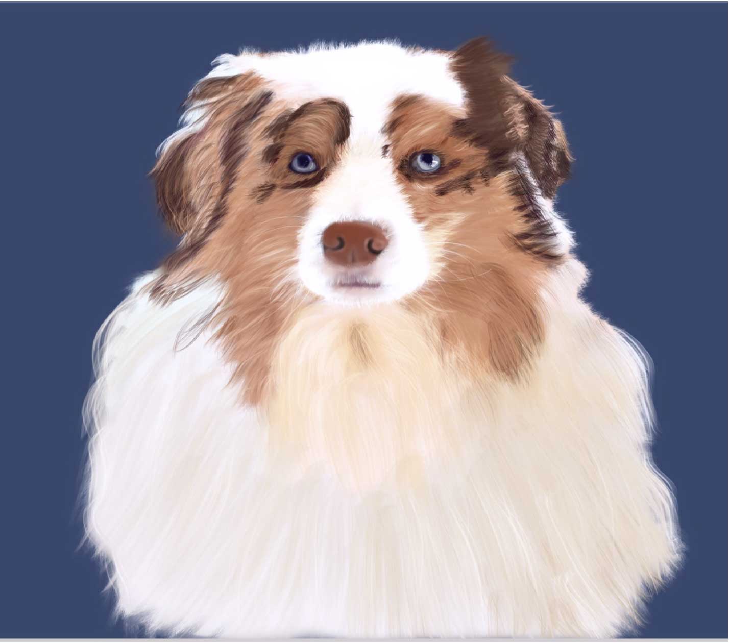 My Aussie named Semmi