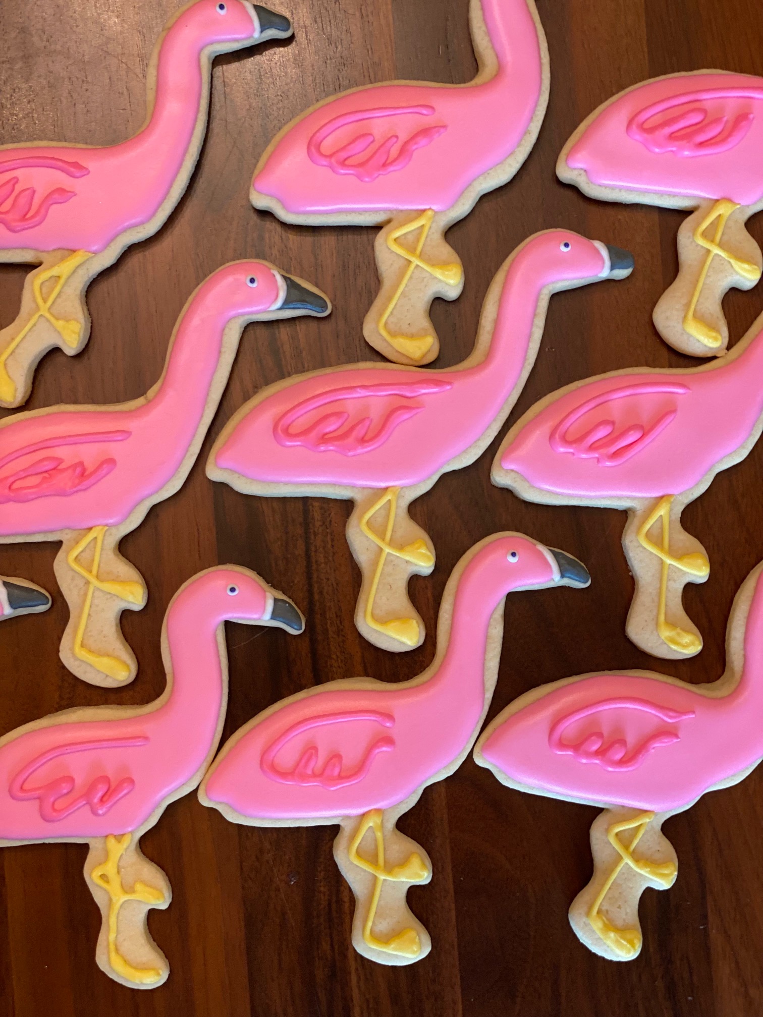 flamingoes