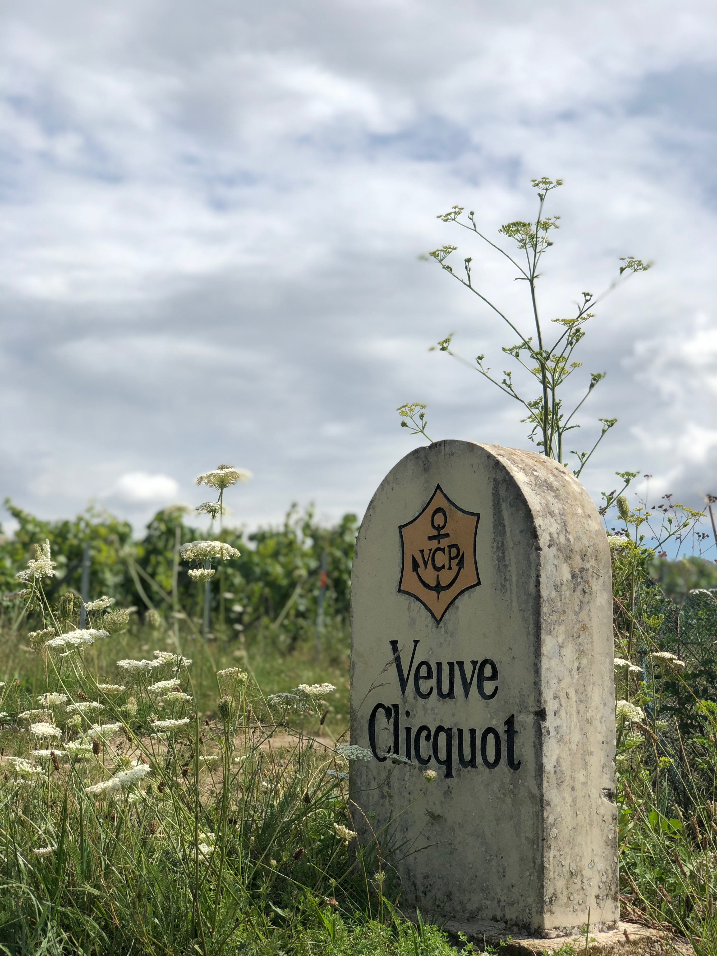 Veuve Clicquot Vineyard