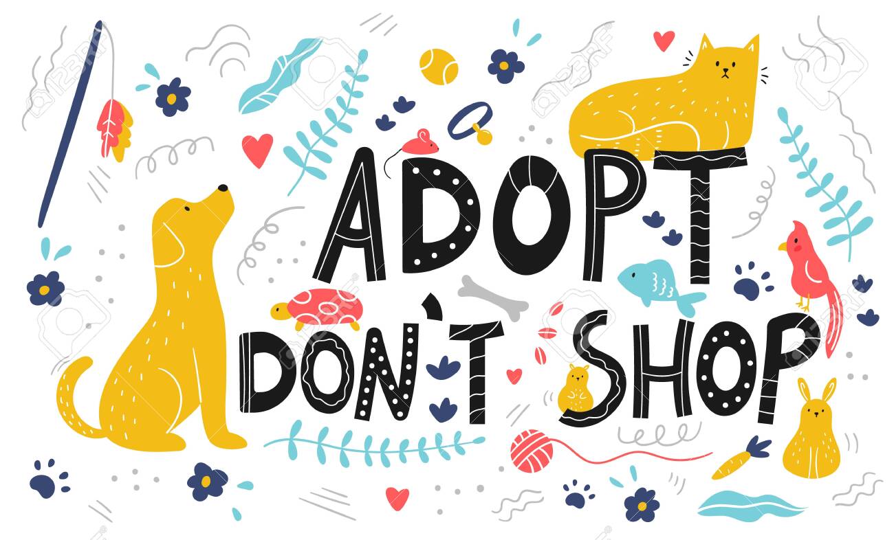 adopt dont shop