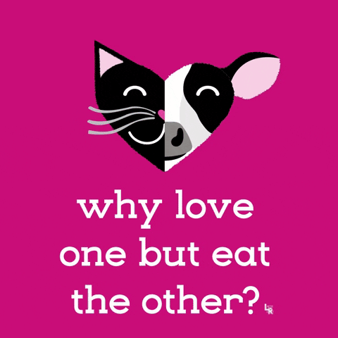 why love one but eat the other?