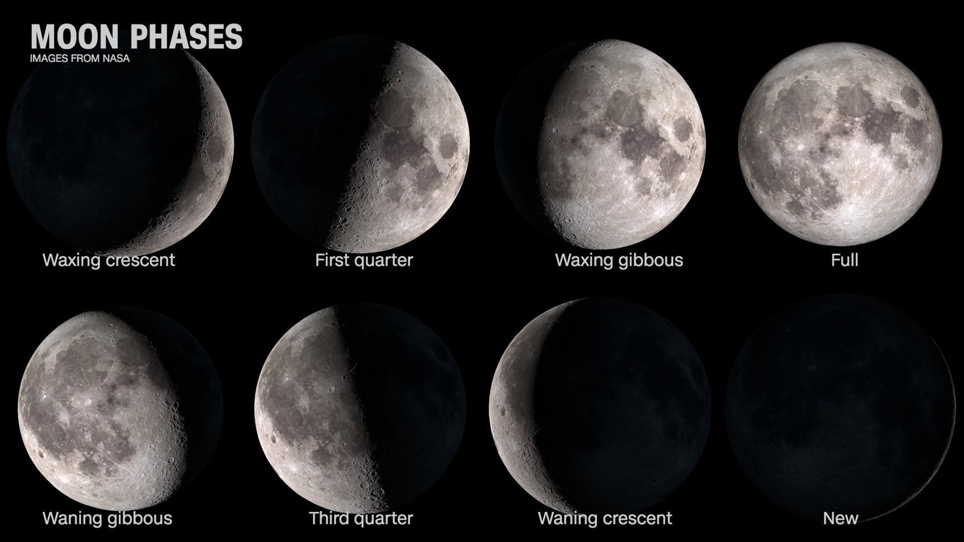 Phases of the Moon