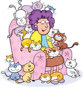 picture of cat lady