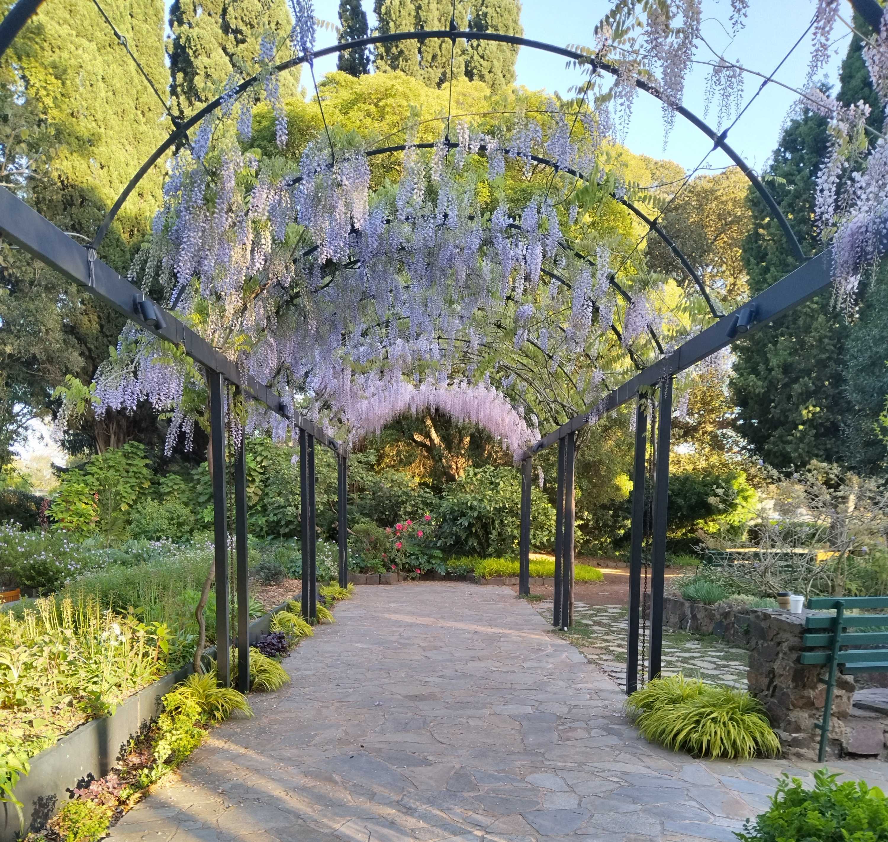 Burnley Gardens, only used an image because we seem to need one.