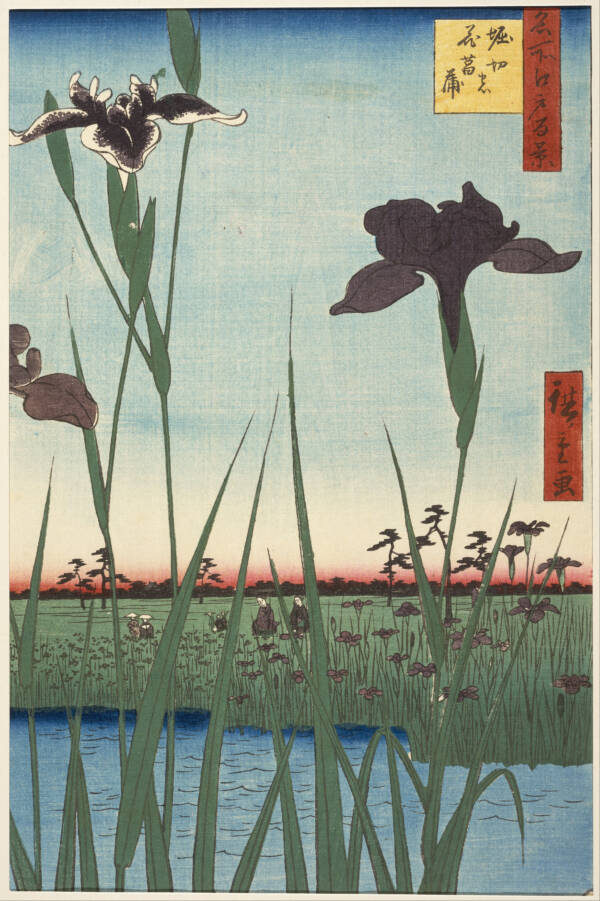 woodblock print of a beautiful Japanese landscape full of iris flowers by
            Utagawa Hiroshige