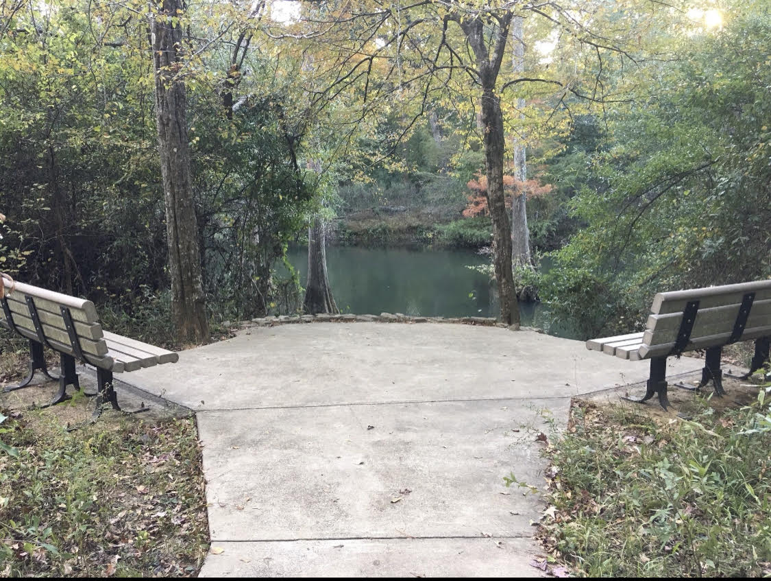 Arkansas Arboretum Trail
