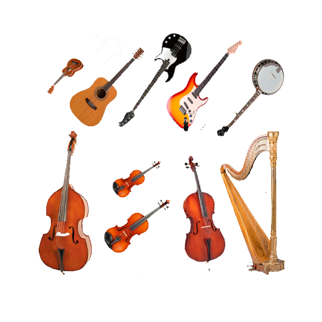 String Instruments 