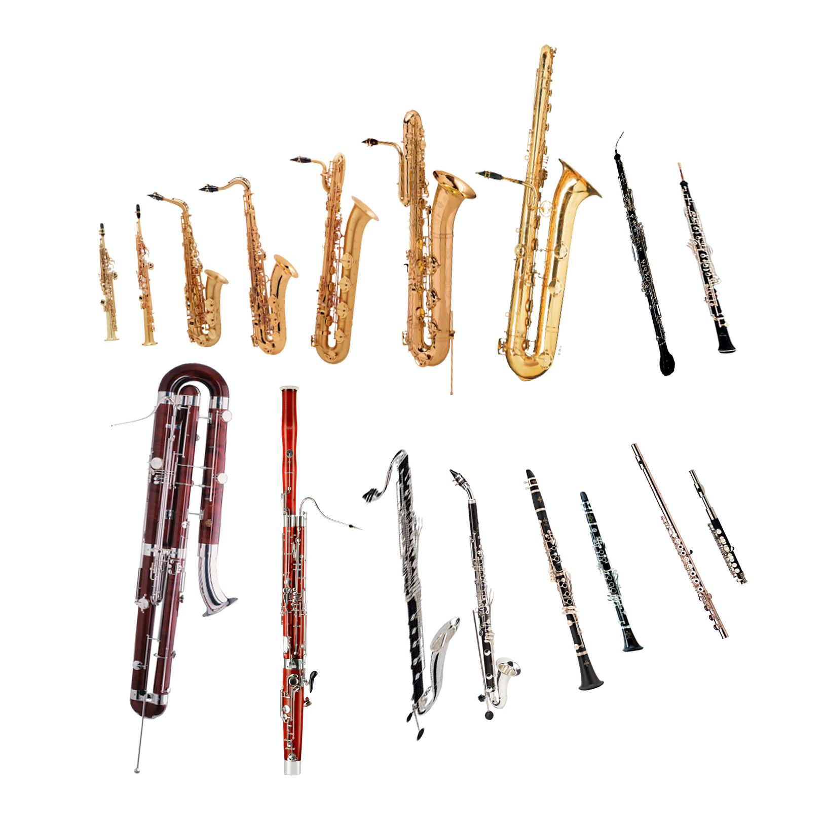 WoodWind Instruments 